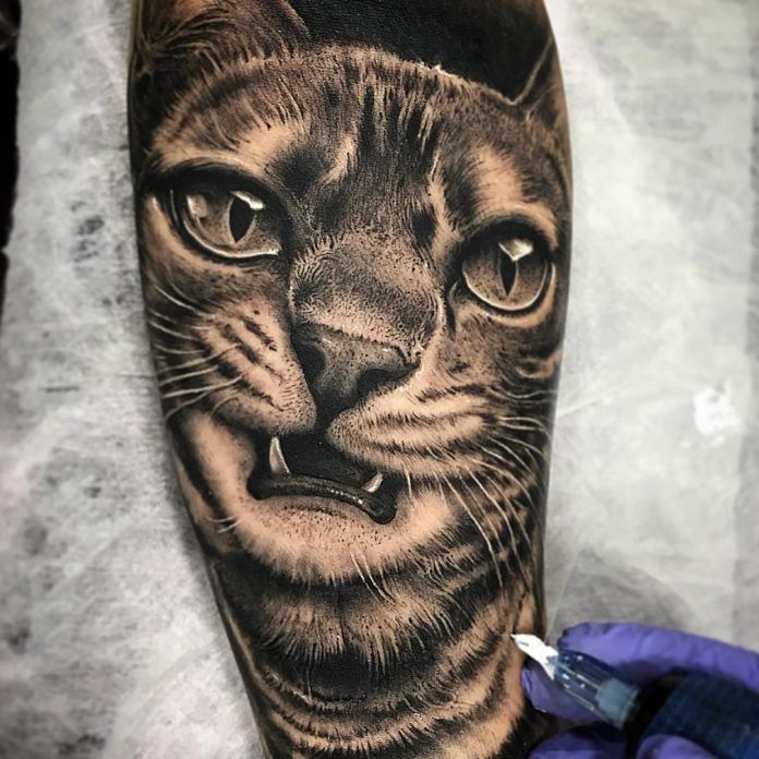 Realismo (Black & Grey y Color)